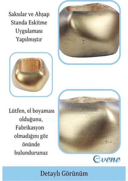 Ahşap Ayaklı Beton Saksı Büyük Boy Set 3 Adet Spiral Oval Model