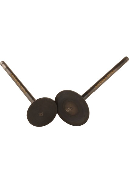 Bajaj Pulsar NS200 Supap Takımı Or. fiyatları