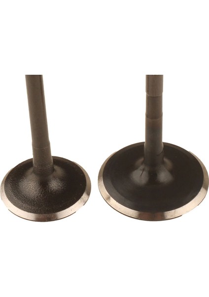 Bajaj Pulsar NS200 Supap Takımı Or. fırsatları