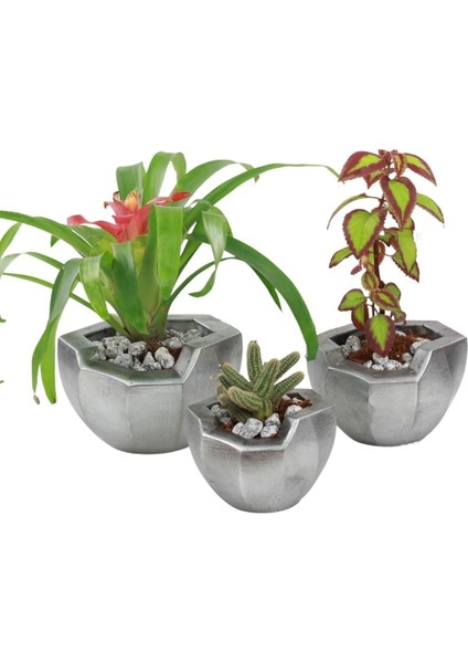 Saksı Çiçek Kaktüs Saksısı Lüx 15 cm Önü Açık Desenli 3'lü Set Çiçeklik