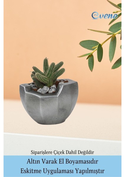 Saksı Çiçek Kaktüs Saksısı Lüx 15 cm Önü Açık Desenli 3'lü Set Çiçeklik