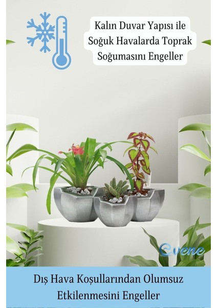 Saksı Çiçek Kaktüs Saksısı Lüx 15 cm Önü Açık Desenli 3'lü Set Çiçeklik