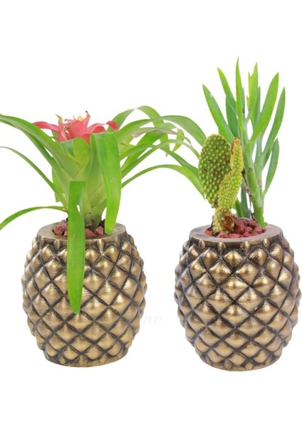 Saksı Çiçek Kaktüs Saksısı Lüx 15 cm Ananas Desenli 2'li Set Çiçeklik