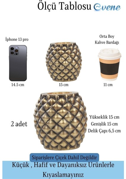 Saksı Çiçek Kaktüs Saksısı Lüx 15 cm Ananas Desenli 2'li Set Çiçeklik