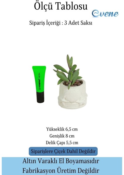 Mini Çiçek Saksı Küçük Sukulent Kaktüs Saksısı 3'lü Set Deniz Yıldızlı Kabuklu Model