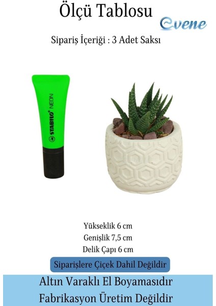 Mini Çiçek Saksı Küçük Sukulent Kaktüs Saksısı 3'lü Set Altıgen Model