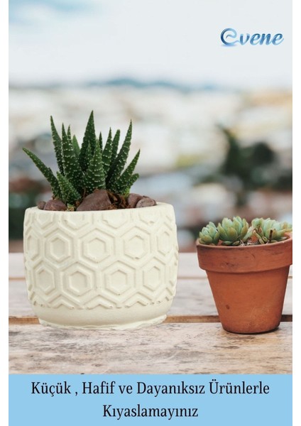 Mini Çiçek Saksı Küçük Sukulent Kaktüs Saksısı 3'lü Set Altıgen Model