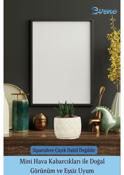 Mini Çiçek Saksı Küçük Sukulent Kaktüs Saksısı 3'lü Set Altıgen Model