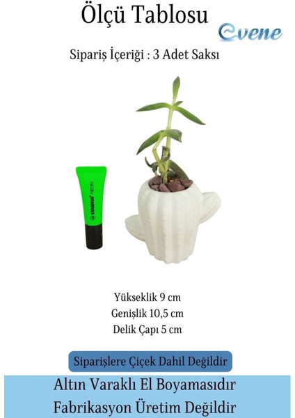 Mini Çiçek Saksı Küçük Sukulent Kaktüs Saksısı 3'lü Set Kaktüs Figür Model