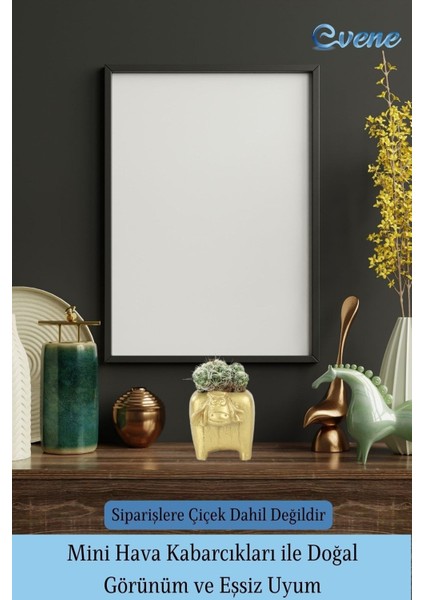 Mini Çiçek Saksı Küçük Sukulent Kaktüs Saksısı 3'lü Set Mini Inek