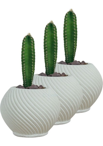 Mini Çiçek Saksı Küçük Sukulent Kaktüs Saksısı 3'lü Set Ince Çizgili Spiral Model