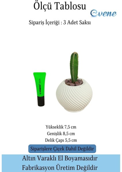 Mini Çiçek Saksı Küçük Sukulent Kaktüs Saksısı 3'lü Set Ince Çizgili Spiral Model