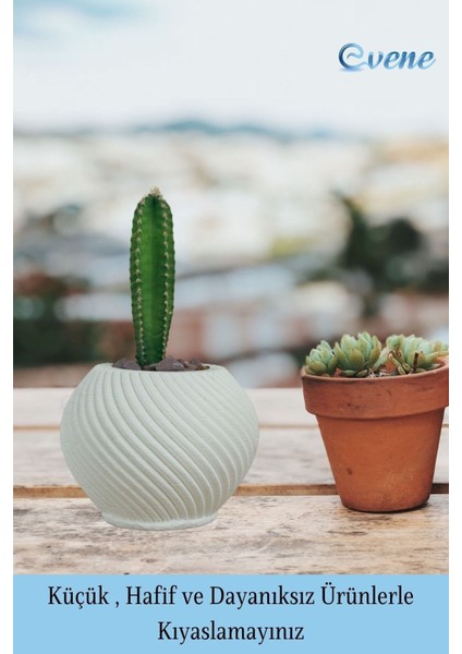 Mini Çiçek Saksı Küçük Sukulent Kaktüs Saksısı 3'lü Set Ince Çizgili Spiral Model