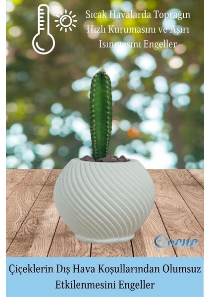 Mini Çiçek Saksı Küçük Sukulent Kaktüs Saksısı 3'lü Set Ince Çizgili Spiral Model