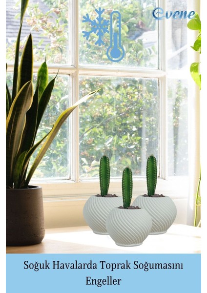 Mini Çiçek Saksı Küçük Sukulent Kaktüs Saksısı 3'lü Set Ince Çizgili Spiral Model