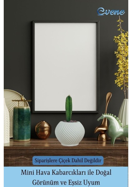 Mini Çiçek Saksı Küçük Sukulent Kaktüs Saksısı 3'lü Set Ince Çizgili Spiral Model