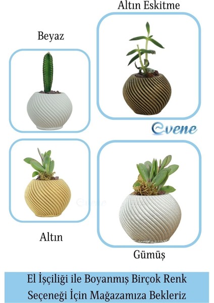 Mini Çiçek Saksı Küçük Sukulent Kaktüs Saksısı 3'lü Set Ince Çizgili Spiral Model