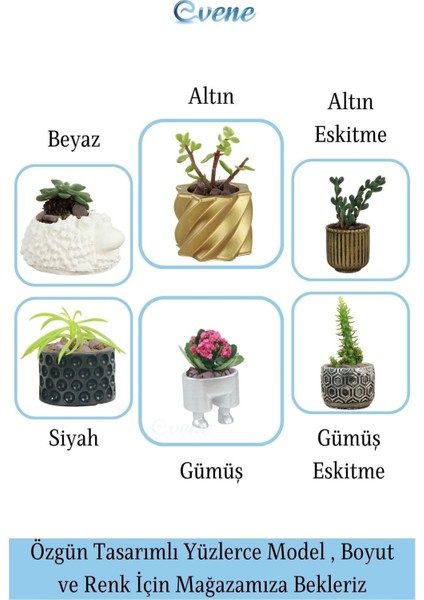 Mini Çiçek Saksı Küçük Sukulent Kaktüs Saksısı 3'lü Set Ince Çizgili Spiral Model