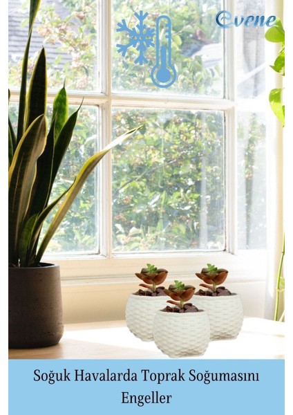 Mini Çiçek Saksı Küçük Sukulent Eskitme Kaktüs Saksısı 3'lü Set Sepet Örgü Model