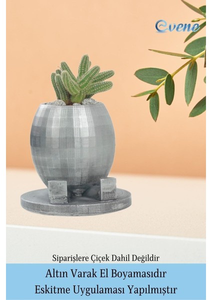 Saksı Çiçek Kaktüs Saksısı Lüx 17 cm Altın Varak Boyalı Yuvarlak Ayaklı Saksı Çiçeklik