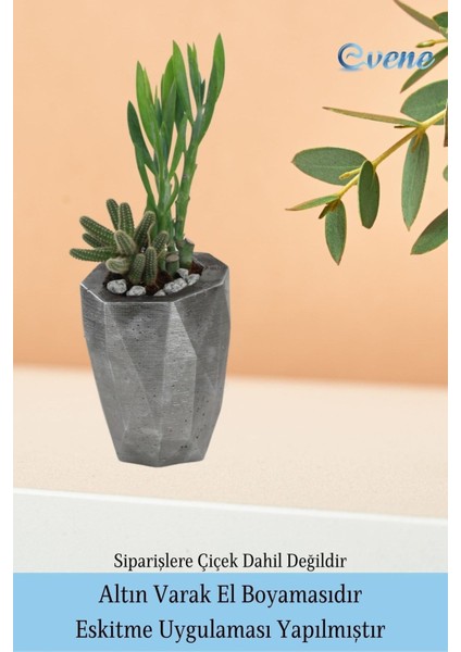 Saksı Çiçek Kaktüs Saksısı Lüx 10 cm Altın Eskitme Varak Boyalı Poly Desen Saksı Çiçeklik