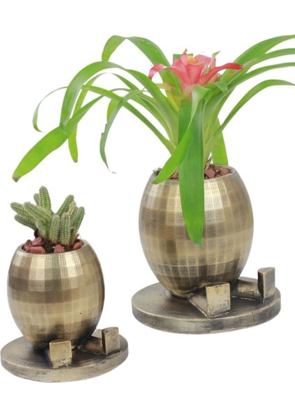 Saksı Çiçek Kaktüs Saksısı Lüx 17 cm Yuvarlak Ayaklı Saksı 2'li Set Çiçeklik