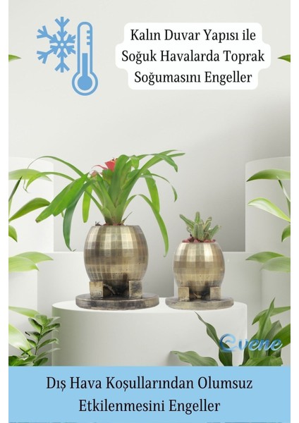 Saksı Çiçek Kaktüs Saksısı Lüx 17 cm Yuvarlak Ayaklı Saksı 2'li Set Çiçeklik