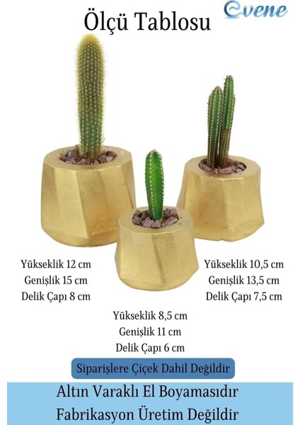 Saksı Çiçek Kaktüs Saksısı Lüx 15 cm Kalın Çizgi Desenli 3'lü Set Çiçeklik