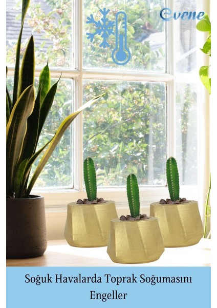 Saksı Çiçek Kaktüs Saksısı Lüx 15 cm Kalın Çizgi Desenli 3'lü Set Çiçeklik