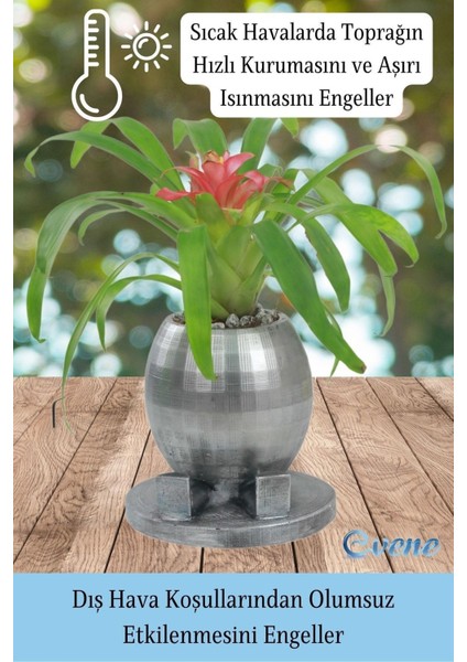 Saksı Çiçek Kaktüs Saksısı Lüx 17 cm Altın Varak Boyalı Yuvarlak Ayaklı Saksı Çiçeklik