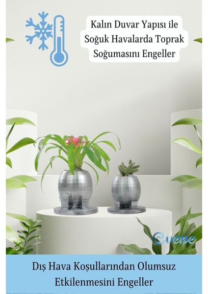 Saksı Çiçek Kaktüs Saksısı Lüx 17 cm Altın Varak Boyalı Yuvarlak Ayaklı Saksı Çiçeklik