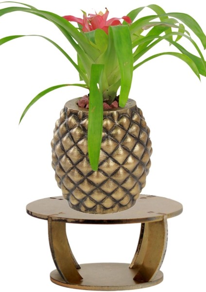 Ahşap Ayaklı Beton Saksı Büyük Boy 1 Adet Ananas Model
