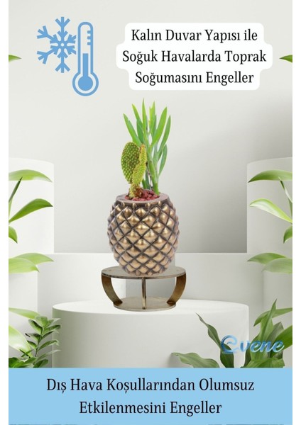 Ahşap Ayaklı Beton Saksı Büyük Boy 1 Adet Ananas Model