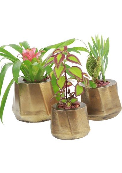 Saksı Çiçek Kaktüs Saksısı Lüx 15 cm Kalın Çizgi Desenli 3'lü Set Çiçeklik