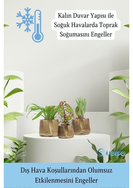 Saksı Çiçek Kaktüs Saksısı Lüx 15 cm Kalın Çizgi Desenli 3'lü Set Çiçeklik