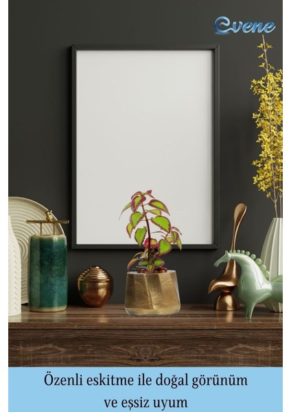 Saksı Çiçek Kaktüs Saksısı Lüx 15 cm Kalın Çizgi Desenli 3'lü Set Çiçeklik