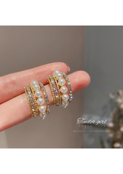 Broş Kıdemli Işık Duygusu Lüks Kadın Korsaj Kristal Inci Yüksek Dereceli Pimler Çift Kullanımlı Mücevher Sınıfı Aksesuarlar (Yurt Dışından)