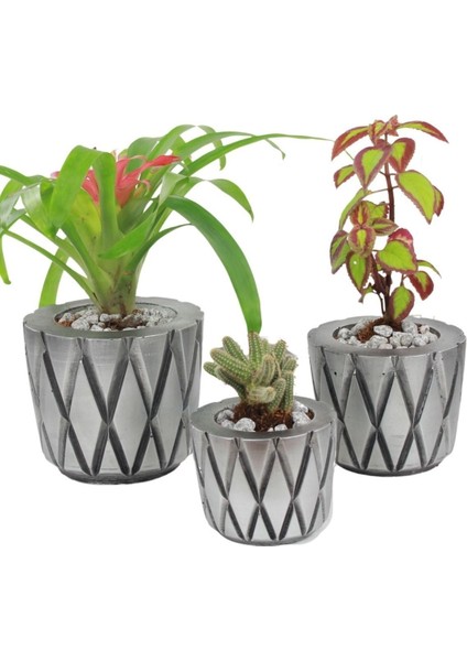 Saksı Çiçek Kaktüs Saksısı Lüx 15 cm Baklava Desenli 3'lü Set Çiçeklik