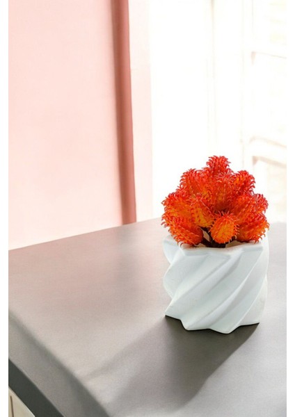 Mini Çiçek Saksı Küçük Sukulent Kaktüs Saksısı Kalın Çizgili Yıldız Model