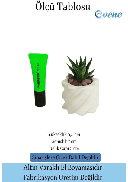 Mini Çiçek Saksı Küçük Sukulent Kaktüs Saksısı Kalın Çizgili Yıldız Model