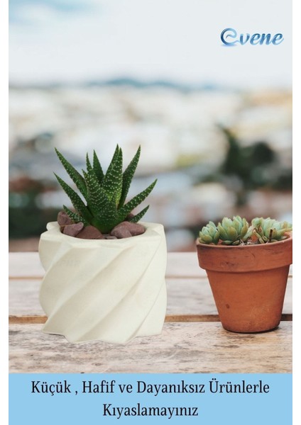 Mini Çiçek Saksı Küçük Sukulent Kaktüs Saksısı Kalın Çizgili Yıldız Model