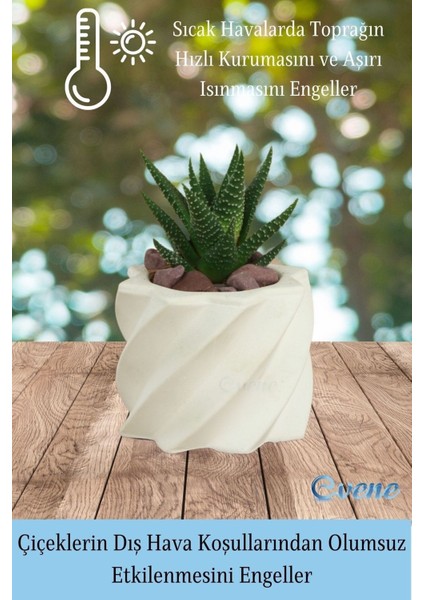 Mini Çiçek Saksı Küçük Sukulent Kaktüs Saksısı Kalın Çizgili Yıldız Model