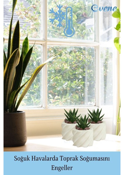 Mini Çiçek Saksı Küçük Sukulent Kaktüs Saksısı Kalın Çizgili Yıldız Model