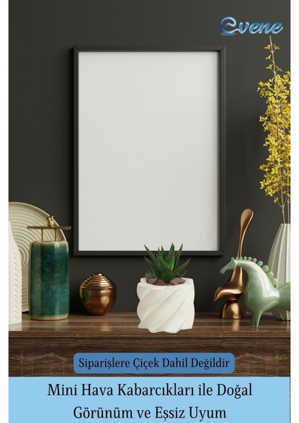 Mini Çiçek Saksı Küçük Sukulent Kaktüs Saksısı Kalın Çizgili Yıldız Model