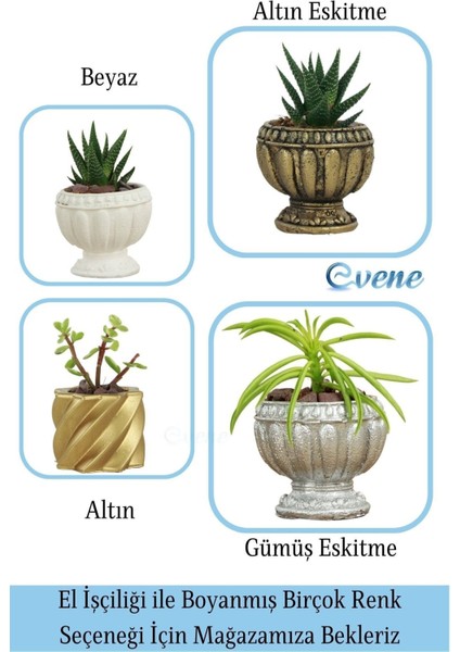 Mini Çiçek Saksı Küçük Sukulent Kaktüs Saksısı Kalın Çizgili Yıldız Model