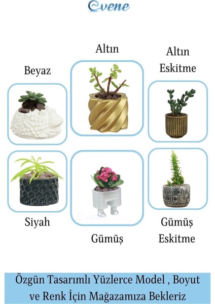 Mini Çiçek Saksı Küçük Sukulent Kaktüs Saksısı Kalın Çizgili Yıldız Model