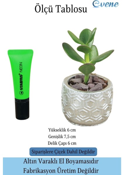 Mini Çiçek Saksı Küçük Sukulent Kaktüs Saksısı Altıgen Desenli Model