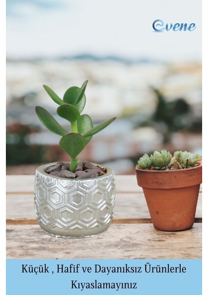Mini Çiçek Saksı Küçük Sukulent Kaktüs Saksısı Altıgen Desenli Model