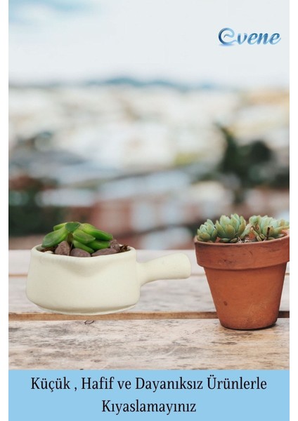 Mini Çiçek Saksı Küçük Sukulent Kaktüs Saksısı 3'lü Set Mini Tava Model