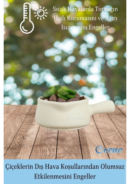 Mini Çiçek Saksı Küçük Sukulent Kaktüs Saksısı 3'lü Set Mini Tava Model